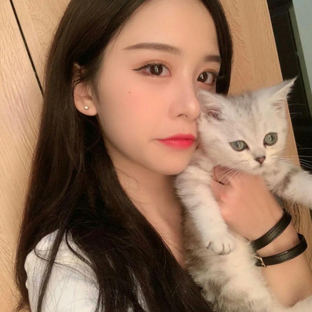 365在线下载手机版