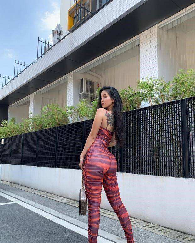 半岛综合娱乐app