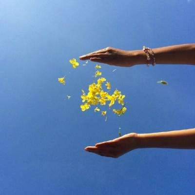 b体育官方体育app